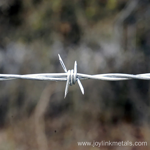 25kg Hot Dipped Galvanized Barbed Wire
